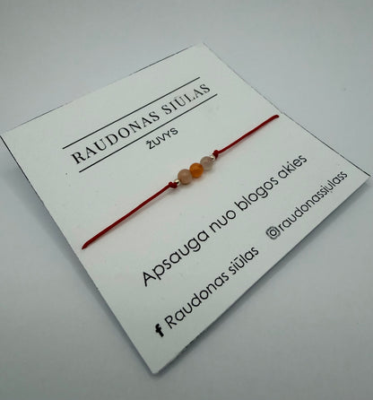 Žuvų energijos apyrankė