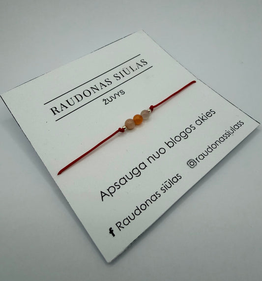 Žuvų energijos apyrankė